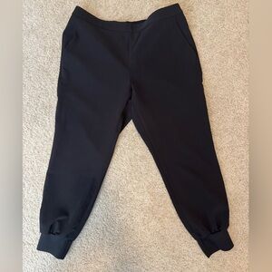 Brand new with tags! Express dressy joggers